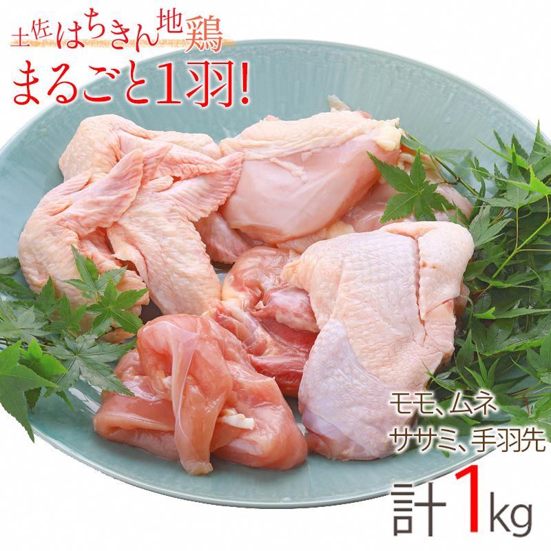 絶品 地鶏 土佐はちきん地鶏まるごと一羽おためしセット もも肉 むね肉 ささみ 手羽先 手羽元 計1kg