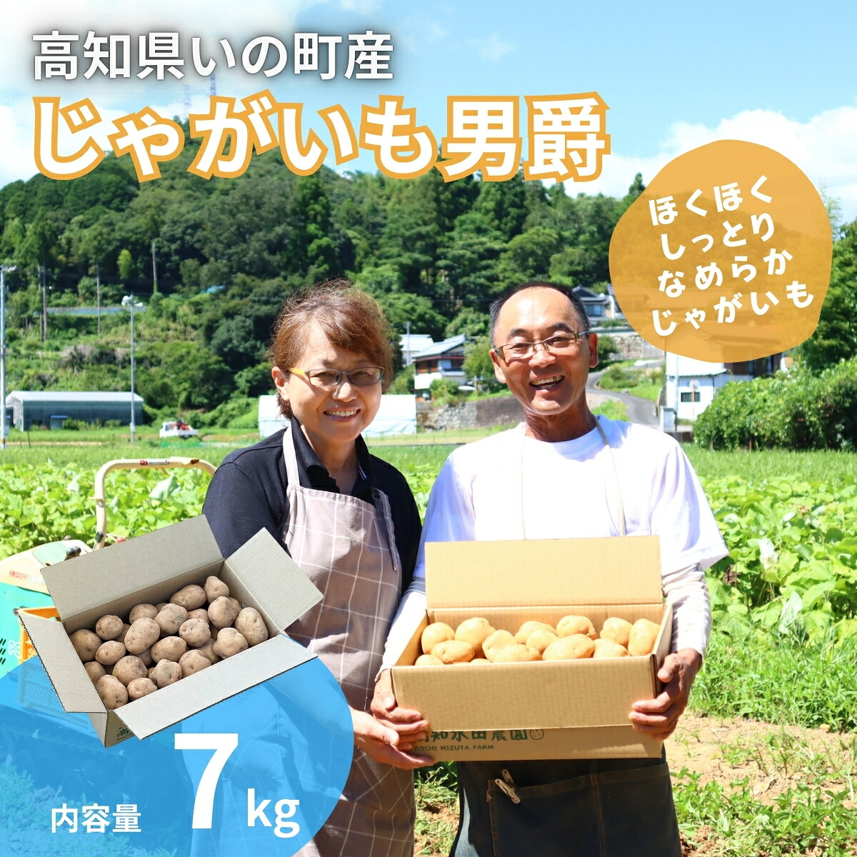 【ふるさと納税】じゃがいも（男爵）7kg じゃがいも ジャガイモ だんしゃく 男爵 男爵いも 野菜 ほくほく しっとり