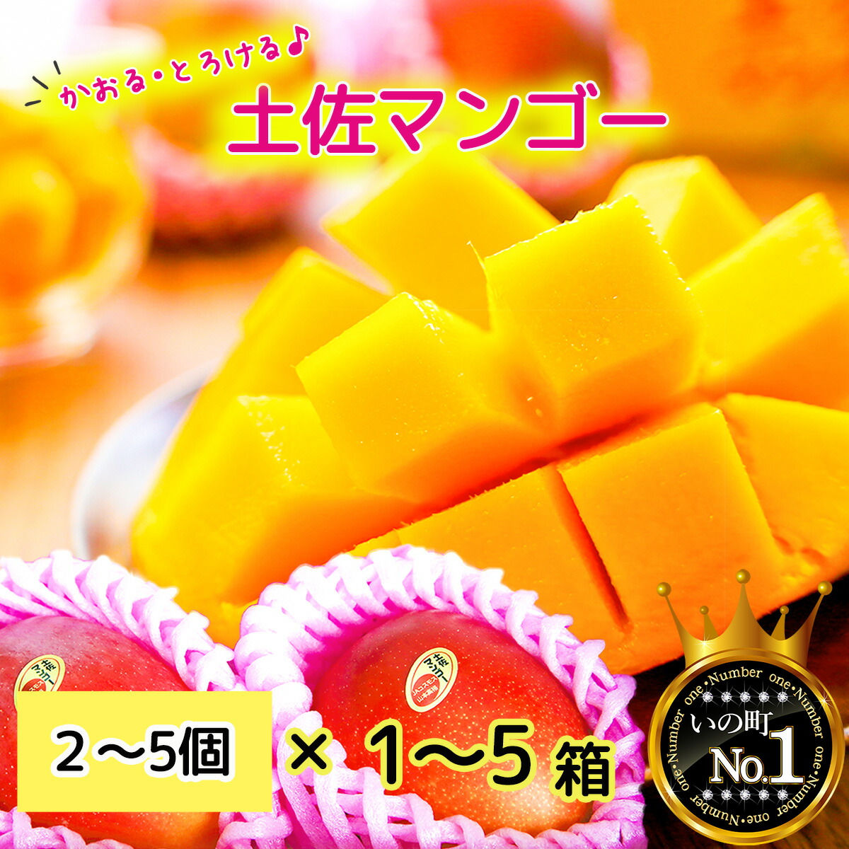 【ふるさと納税】かおる・とろける！土佐マンゴー(2～5個)×１箱/2箱/3箱/4箱/5箱 完熟 予約受付 フルーツ 特産品 産地直送 送料無料 期間限定 数量限定 美味しい おすすめ 5月 6月 7月 8月