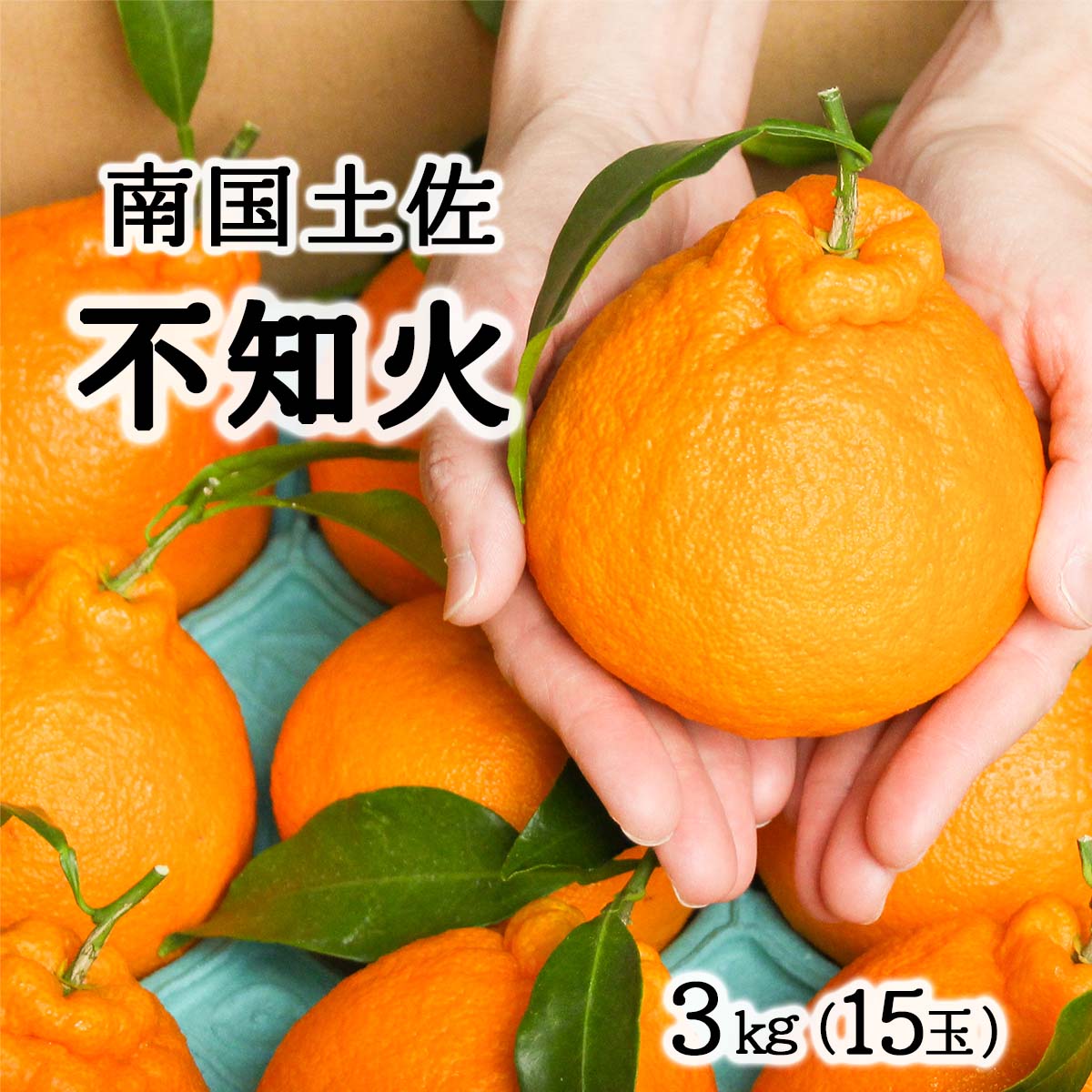 柑橘 みかん しらぬい 不知火 ３ｋｇ 15玉サイズ 【SALE／67%OFF】