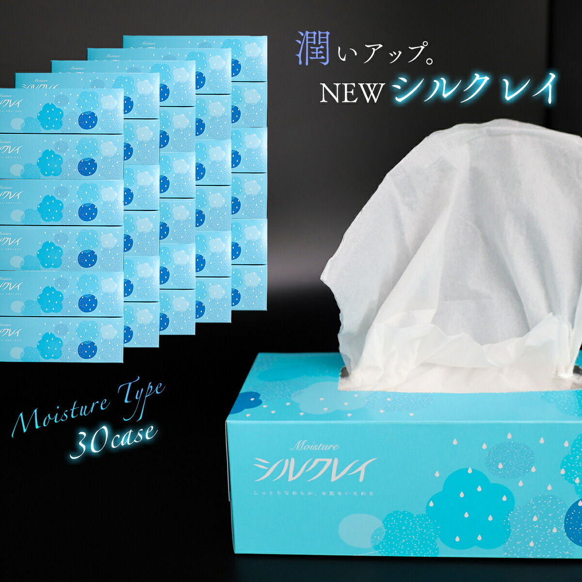 ふるさと納税 フローレンスボックスティッシュペーパー　50箱セット 高知県いの町 フローレンスボックスティッシュペーパー 50箱セット | 高知県いの町