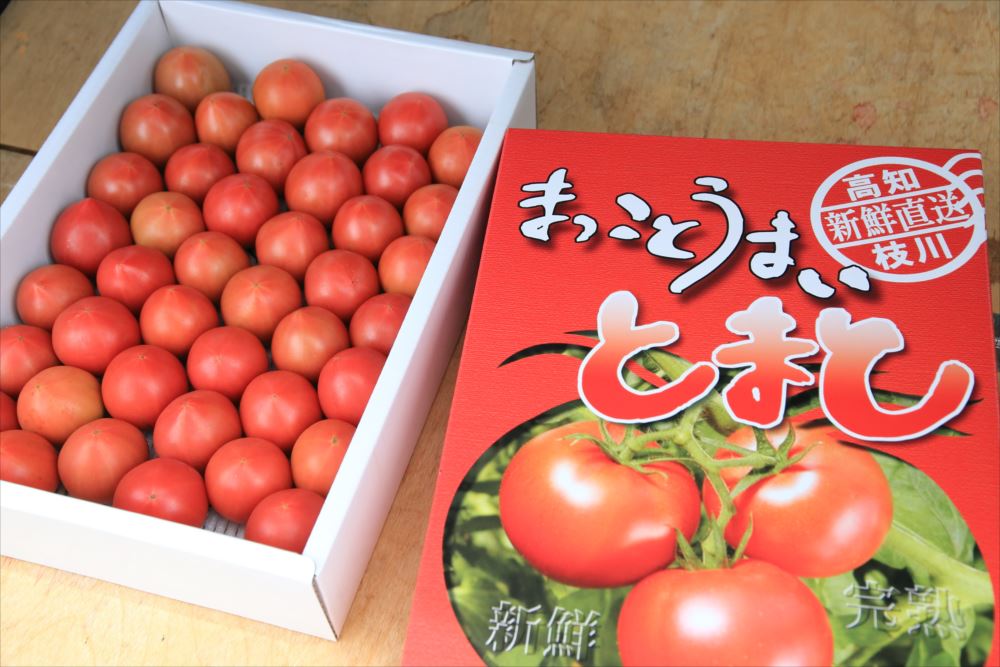 【ふるさと納税】水田さんのまっことうまいトマト　約2kg【高知県産　トマト　フルーツトマト】