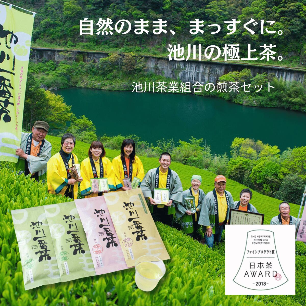 【ふるさと納税】高知県仁淀川町 池川茶業組合 煎茶セット|かぶせ茶・深蒸し煎茶 飲み比べ|無添加 国産茶葉100% 日本茶 緑茶 詰合せ 香り高い味わい 贈答用 ギフト 手土産 敬老の日 お歳暮 お中元 来客用に最適 上質な高知県産煎茶 人気商品|高知県仁淀川町