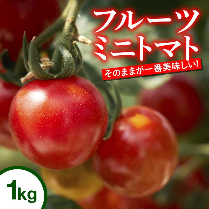 【ふるさと納税】トマト 高知 フルーツトマト ミニ 1kg 完熟 甘い 濃厚 野菜 人気 ふるーつとまと 甘い 濃厚 美味しい 箱詰め 糖度 高知 四万十川 まちだ農園 高糖度 定期便 ギフト おやつ プチ お弁当 季節限定