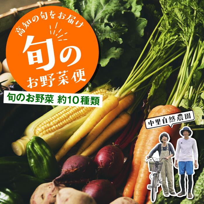 【ふるさと納税】 野菜 詰め合わせ セット 8-10種 中里自然農園 旬のお野菜便 野菜セット 野菜の詰め合わせ 高知 新鮮 農薬不使用  安心 やさい おまかせ 季節の野菜 ボックス 農家直送 有機栽培 送料無料