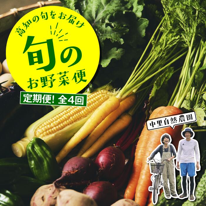 【ふるさと納税】 野菜 定期便 全4回 野菜定期便 詰め合わせ セット 8-10種 中里自然農園  野菜の詰め合わせ 高知 新鮮 農薬不使用  安心 やさい 野菜セット おまかせ 季節の野菜 ボックス 農家直送 有機栽培 送料無料