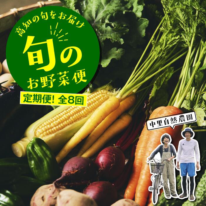 【ふるさと納税】 野菜 定期便 全8回 野菜定期便 詰め合わせ セット 8-10種 中里自然農園  野菜の詰め合わせ 高知 新鮮 農薬不使用  安心 やさい 野菜セット おまかせ 季節の野菜 ボックス 農家直送 有機栽培 送料無料