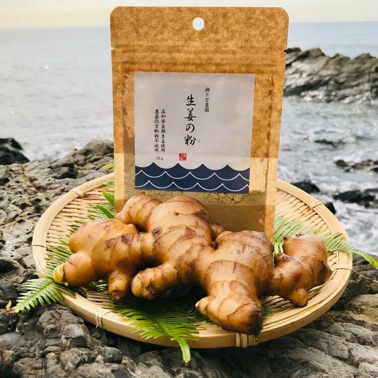 【ふるさと納税】 生姜の粉 乾燥パウダー 10g × 5袋 セット 国産 自然栽培 農薬 化学肥料不使用 高知県