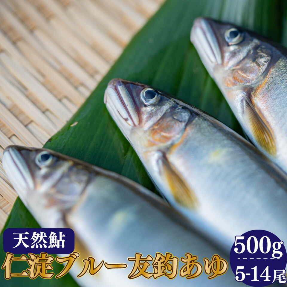 ayu_m500g_01.jpg