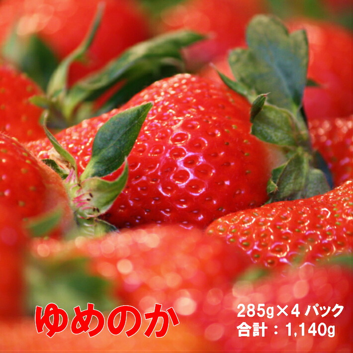 大特価 ゆめのか 285g 4パック 合計1 140g いちご 苺 果物 フルーツ 果実 贈答用 ギフト 旬 イチゴ ストロベリー 先行予約受付中 令和5年 23年 1月中旬 3月下旬頃発送高知県 佐川町 Ja Fucoa Cl