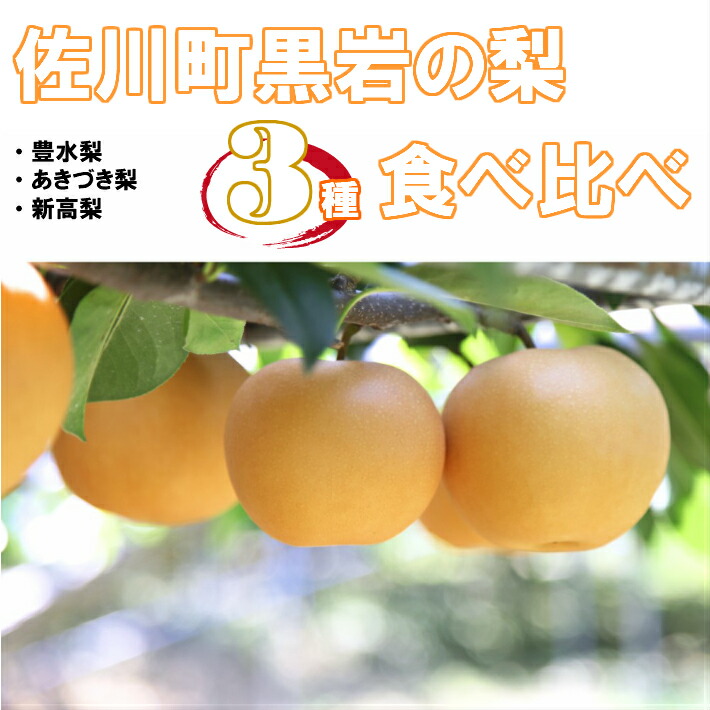 【ふるさと納税】＜2025年秋発送＞佐川の梨 3種 リレーでお届け 定期便 食べ比べセット【期間・数量限定】高知県 佐川町 黒岩 常温【予約販売商品】朝ドラ らんまん モデル  牧野富太郎のふるさと 佐川から直送【9月上旬頃より順番に発送】
