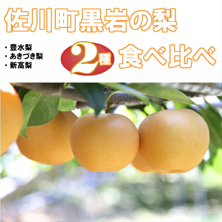 【ふるさと納税】＜2025年秋発送＞　佐川の梨 2種 にいたか あきづき 食べ比べセット 定期便【期間・数量限定】リレーでお届け 高知県 佐川町 黒岩旬の時期にお届けします【秋月／9月中旬頃より発送・新高梨／10月頃より発送】