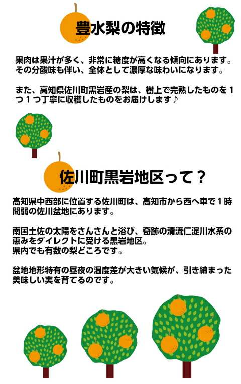 国際ブランド 楽天市場 ふるさと納税 豊水梨 約３ｋｇ 期間限定 高知県 佐川町 黒岩 常温 先行予約 早期予約 9月初旬頃より発送開始 4 7玉 高知県佐川町 50 Off Lexusoman Com