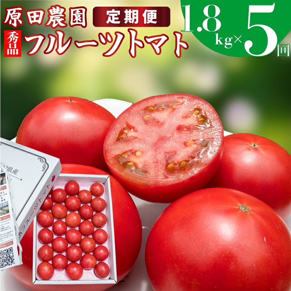 【ふるさと納税】定期便 5回【 12月下旬～5月頃発送 】＜フルーツトマト 原田農園 約1.8kg 大箱＞桃太郎【常温】送料無料 ＊予約受付中＊ ＜2026年12月下旬頃より順次発送予定＞｜高知県佐川町