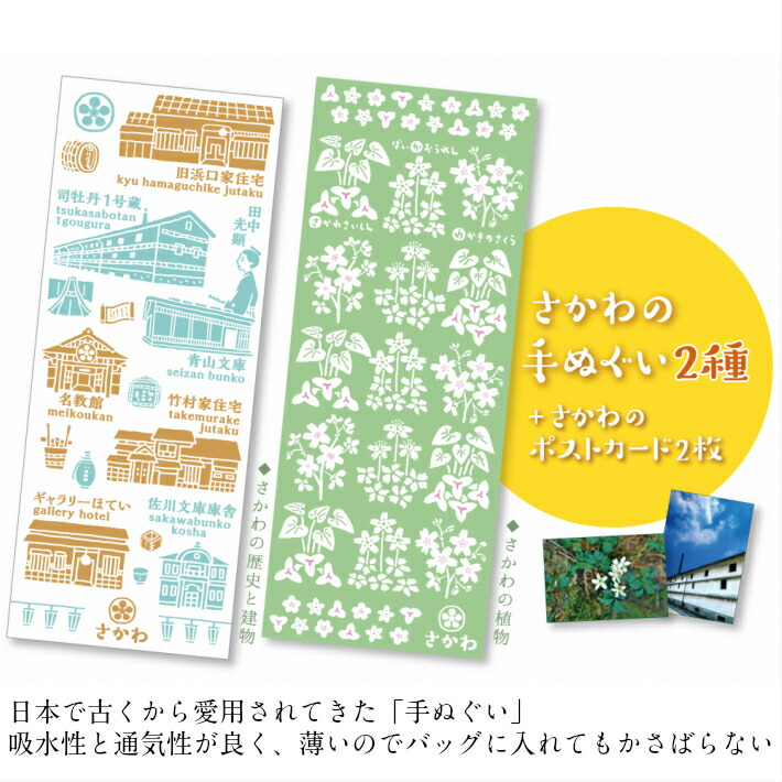 人気デザイナー てぬぐい ふるさと納税 さかわの手ぬぐいセット ２種 さかわポストカード 古民家 牧野富太郎 バイカオウレン サカワサイシン ワカキノサクラ 高知県 さかわ観光協会 常温 佐川町 Pascasarjana Unsrat Ac Id