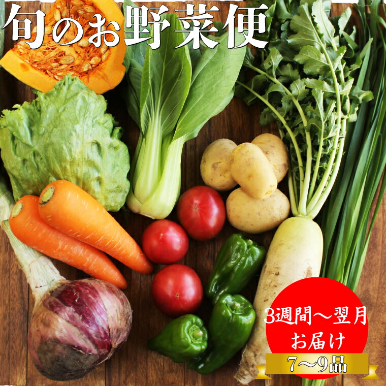 【ふるさと納税】＜南国高知から直送！旬の季節のお野菜セット（7～9品）＞高知県 佐川町 野菜便 詰め合わせ 旬の時期にお届け こうち育ち【冷蔵】