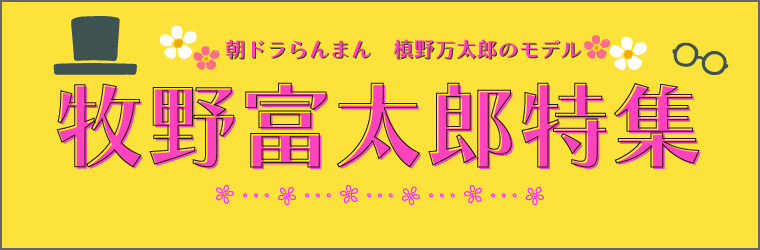 楽天市場】【ふるさと納税】＜木から生まれたハッピーハロウィンセット