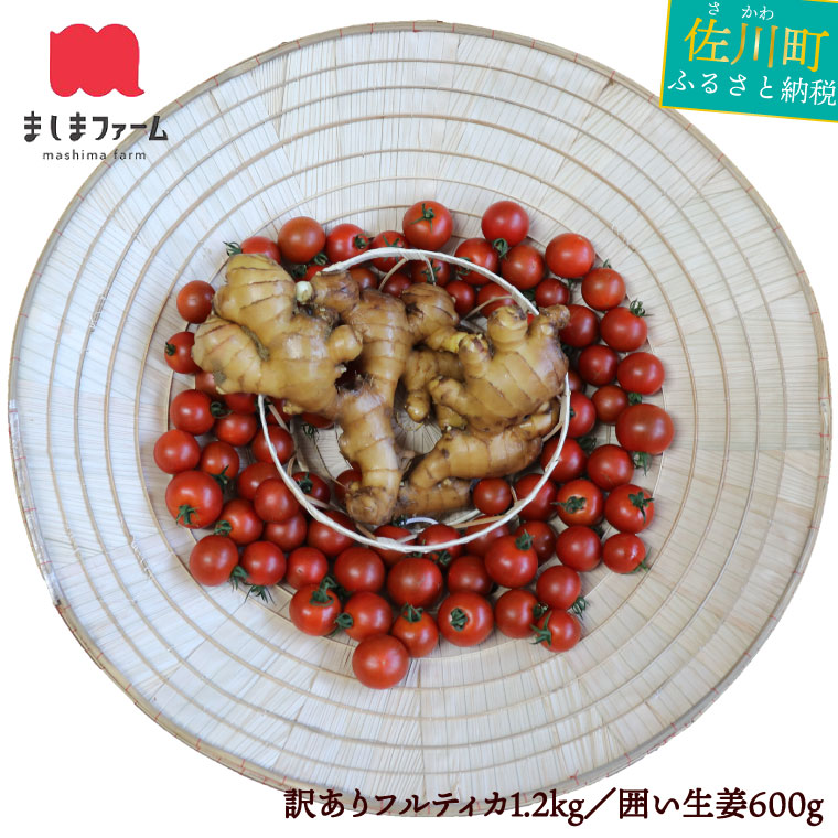 【ふるさと納税】＜トマトと囲い生姜のセット 訳あり・規格外品（トマト1.2kg+生姜600g）＞ 【常温】送料無料 薬味 高知県産 しょうが ショウガ ジンジャー とまと 野菜 ましまファーム アイメック【毎年12月～7月頃まで発送】