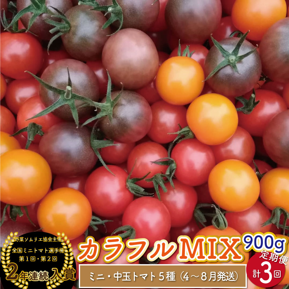 楽天市場】【ふるさと納税】カラフル トマト 5種 ミックス＜約900g