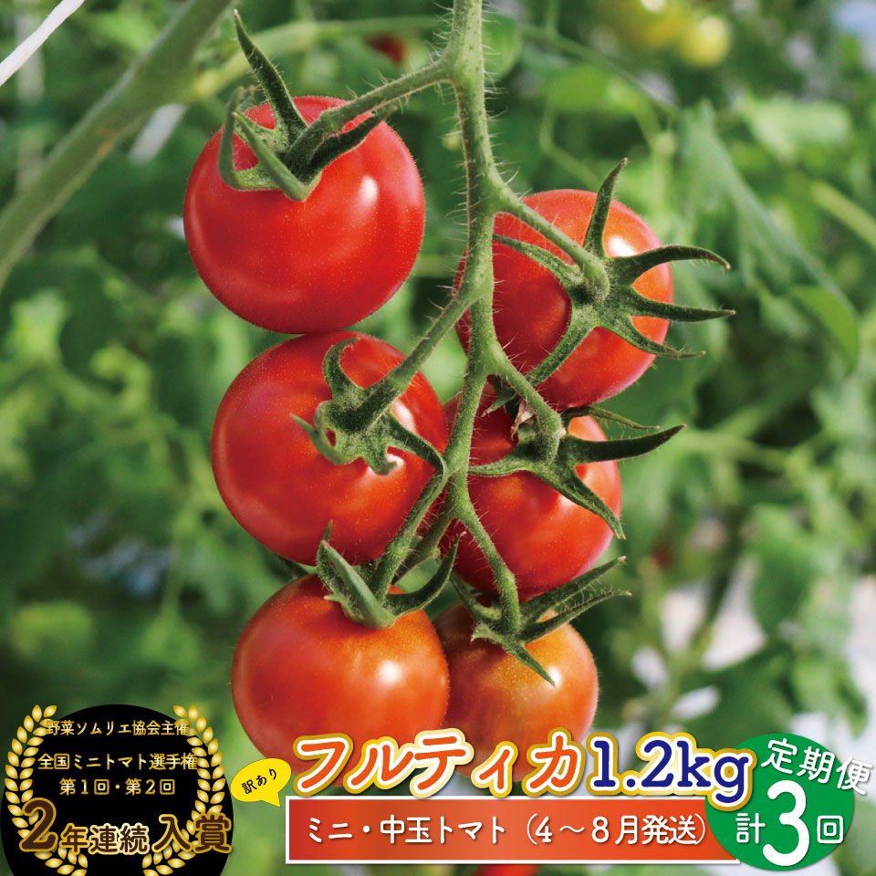 楽天市場】【ふるさと納税】フルティカ トマト<約1.2kg> ミニ 楽天市場】【ふるさと納税】フルティカ トマト<約1.2kg> ミニ