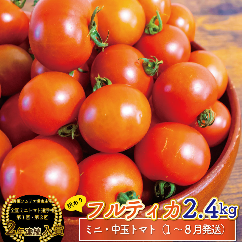 【ふるさと納税】フルティカ トマト ミニトマト フルーツトマト ＜約2.4kg＞【常温】 ワケあり キズあり 規格外品 大容量 自宅用  発送月が選べるアイメック ましまファーム 送料無料 第2回 全国ミニトマト選手権 銅賞 2年連続入賞農園【毎年12月～8月頃発送】