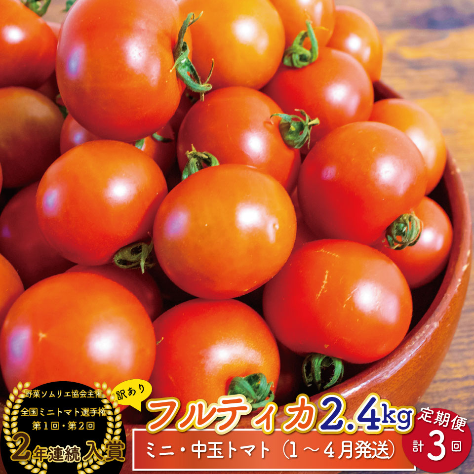【ふるさと納税】フルティカトマト ＜約2.4kg&times;3回 定期便 訳あり ＞ 【常温】ミニトマト フルーツトマト 送料無料 ワケあり キズあり 規格外品 大容量 自宅用 高知県 ましまファーム アイメック【1月～4月頃発送】＜2027年1月頃より順次発送＞ *予約受付中*｜高知県佐川町