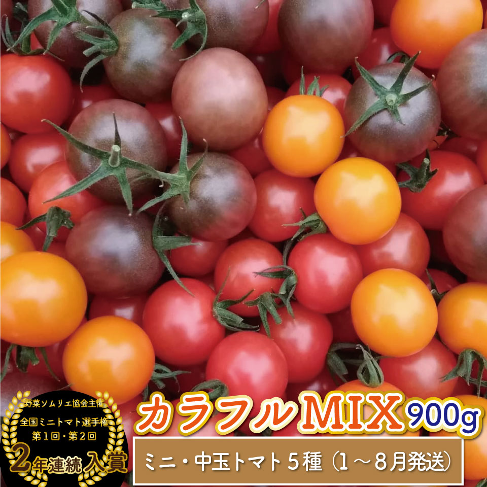 【ふるさと納税】カラフル トマト 5種 ミックス＜約900g＞ミニトマト フルーツトマト フルティカなど＞アイメック ましまファーム  発送月が選べる 【常温】送料無料  MIX 高知県 佐川町 野菜ソムリエ  全国ミニトマト選手権 銅賞 2年連続入賞農園  【毎年1月～8月頃発送】