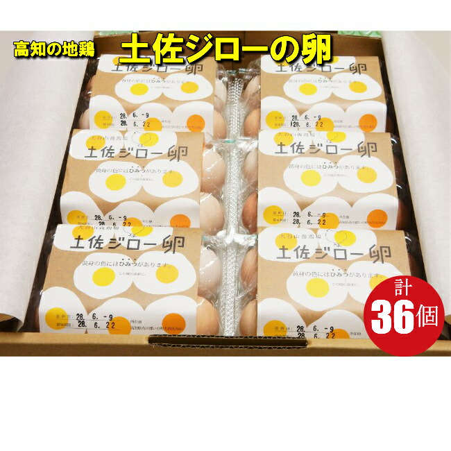 【ふるさと納税】＜土佐ジローの卵　6個パック×6（36個）＞高知県 佐川町 もちおのしっぽ【冷蔵】 高知県 佐川町 もちおのしっぽ【冷蔵】有精卵 平飼い 放し飼い ポストハーベスト農薬フリー（PHF ）飼料 非遺伝子組み換え飼料 使用 ブランド卵