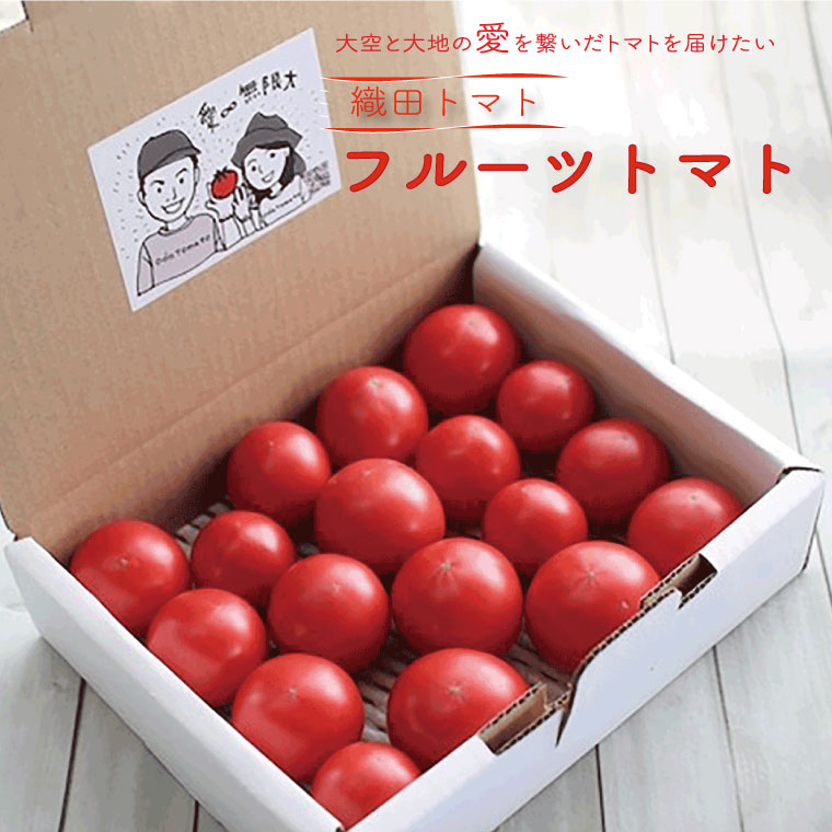 【ふるさと納税】＜フルーツトマト 織田トマト 1kg（約1000g） 真っ赤なフルーツ太陽＞高知県 佐川町 細胞が喜び命が輝く大空と大地の愛を繋ぐ  贈答 ギフト　＜毎年1月頃から5月中旬頃まで発送＞＜＜2026年発送＞＞