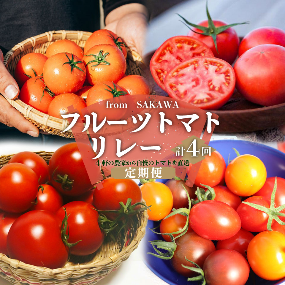 【ふるさと納税】＜フルーツトマト 定期便 4農家からリレーでお届け＞ 数量限定 カラフルトマト 計4回 高糖度トマト さかわ自慢のトマト 【常温】【冷蔵】桃太郎トマト アイコ トスカーナバイオレット オレンジ千果 フルティカ 小鈴エル アルテトマト 送料無料 産地直送画像