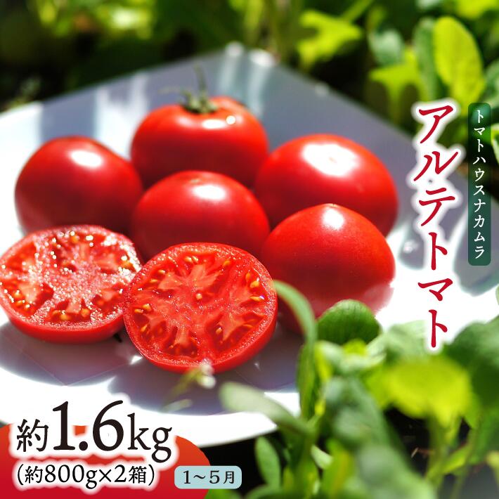 【ふるさと納税】＜アルテトマト 約1.6kg（20-35玉）＞ フルーツトマト 高知県 佐川町 トマトハウスナカムラ 野菜 贈答用 【常温】リピーター多数 高糖度 ギフト 栽培期間中化学農薬不使用 　＜2026年1月～5月頃まで発送＞画像