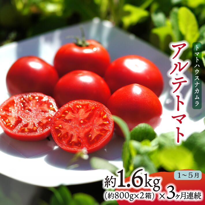 【ふるさと納税】＜アルテトマト 定期便 約1.6kg×3ヶ月連続＞フルーツトマト 合計4.8kg 高知県 佐川町 トマトハウスナカムラ 野菜 贈答用【常温】栽培期間中化学農薬・化学肥料不使用 ＜2026年1月～5月頃まで発送＞画像