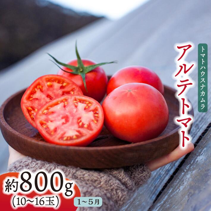 【ふるさと納税】＜アルテトマト お試し 約800g（10～16玉）×1箱＞フルーツトマト 高知県 佐川町 トマトハウスナカムラ 【常温】 栽培期間中化学農薬・化学肥料不使用　＜2026年1月～5月頃まで発送＞画像