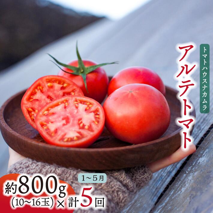 【ふるさと納税】【年5回 定期便】＜アルテトマト 約800g（10‐16玉）×5箱＞計約4kg フルーツトマト 栽培期間中化学農薬・化学肥料不使用 高知県 トマトハウスナカムラ 【常温】＜2026年1～5月頃発送＞画像