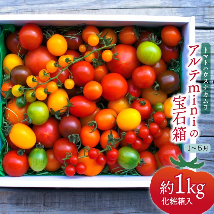 【ふるさと納税】＜アルテminiの宝石箱 約1kg×1箱＞フルーツトマト 高知県 佐川町 トマトハウスナカムラ【常温】栽培期間中化学農薬・化学肥料不使用　＜2026年1月～5月頃まで発送＞画像