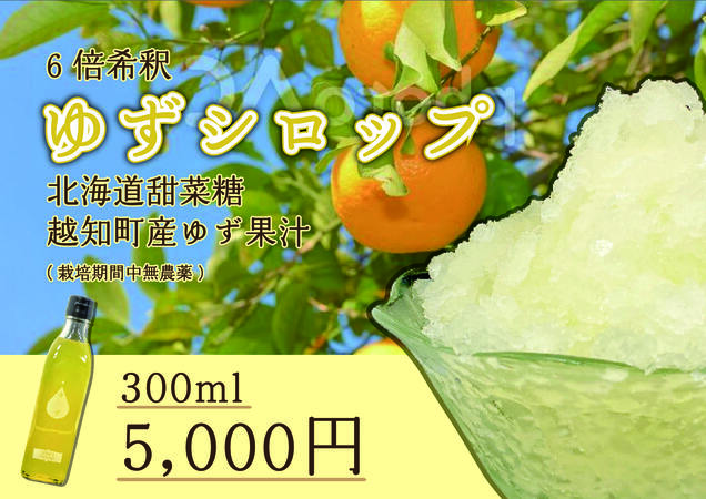 【ふるさと納税】ゆずシロップ(300ml)