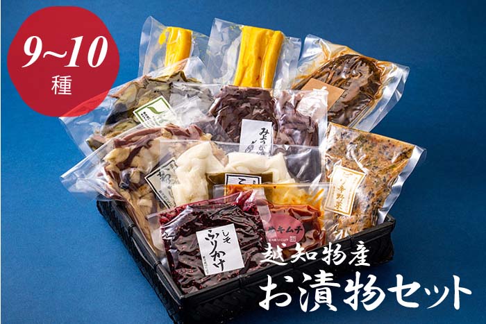 【ふるさと納税】お漬物セット（９～１０種類）
