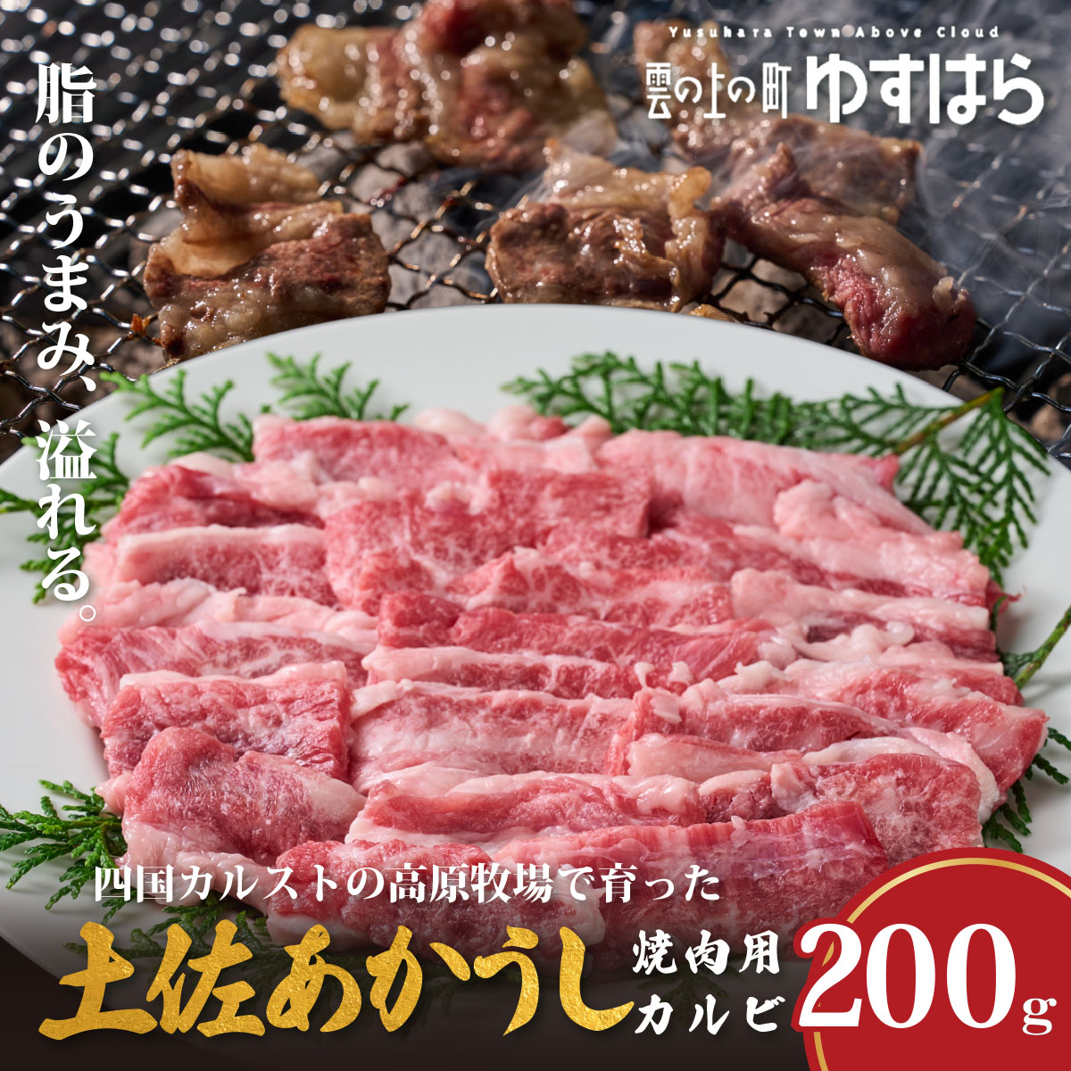 【ふるさと納税】低温でも脂身がとろける土佐あかうし焼肉用カルビ　200g　牛肉 和牛 国産 BBQ オレイン酸 高知県産