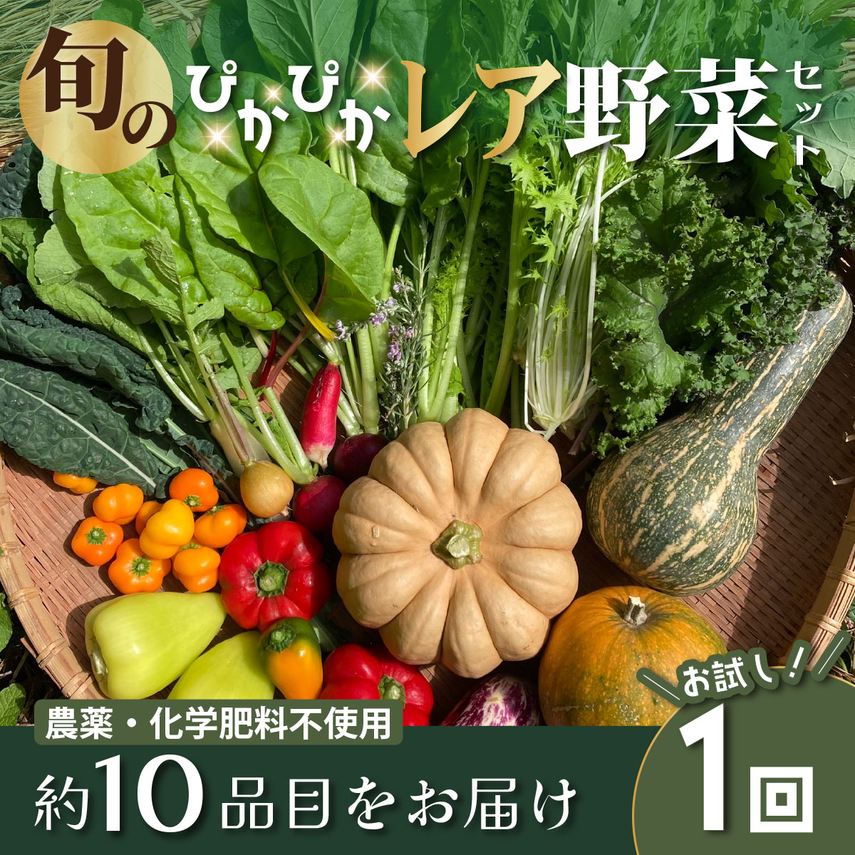 【ふるさと納税】農薬化学肥料不使用 雲の上ガーデンのぴかぴか野菜セット【お試し便】季節にあわせて10品目前後をお届け【L001】季節 旬 詰め合わせ 採れたて 新鮮 産地直送 高知県産 冷蔵便