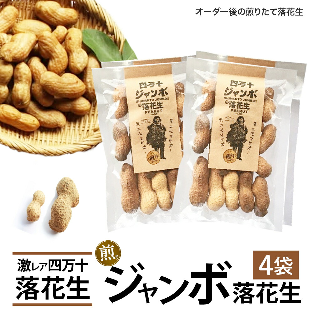 【ふるさと納税】新豆　激レア！四万十ジャンボ煎り落花生 煎りたてオーダー焙煎直送 ／Fsy-09