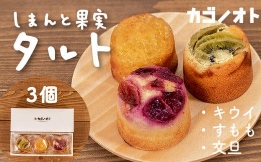 【ふるさと納税】【しまんと果実／ギフト用】タルト（3個入：キウイ・すもも・文旦）カゴノオト／Ikg-A94
