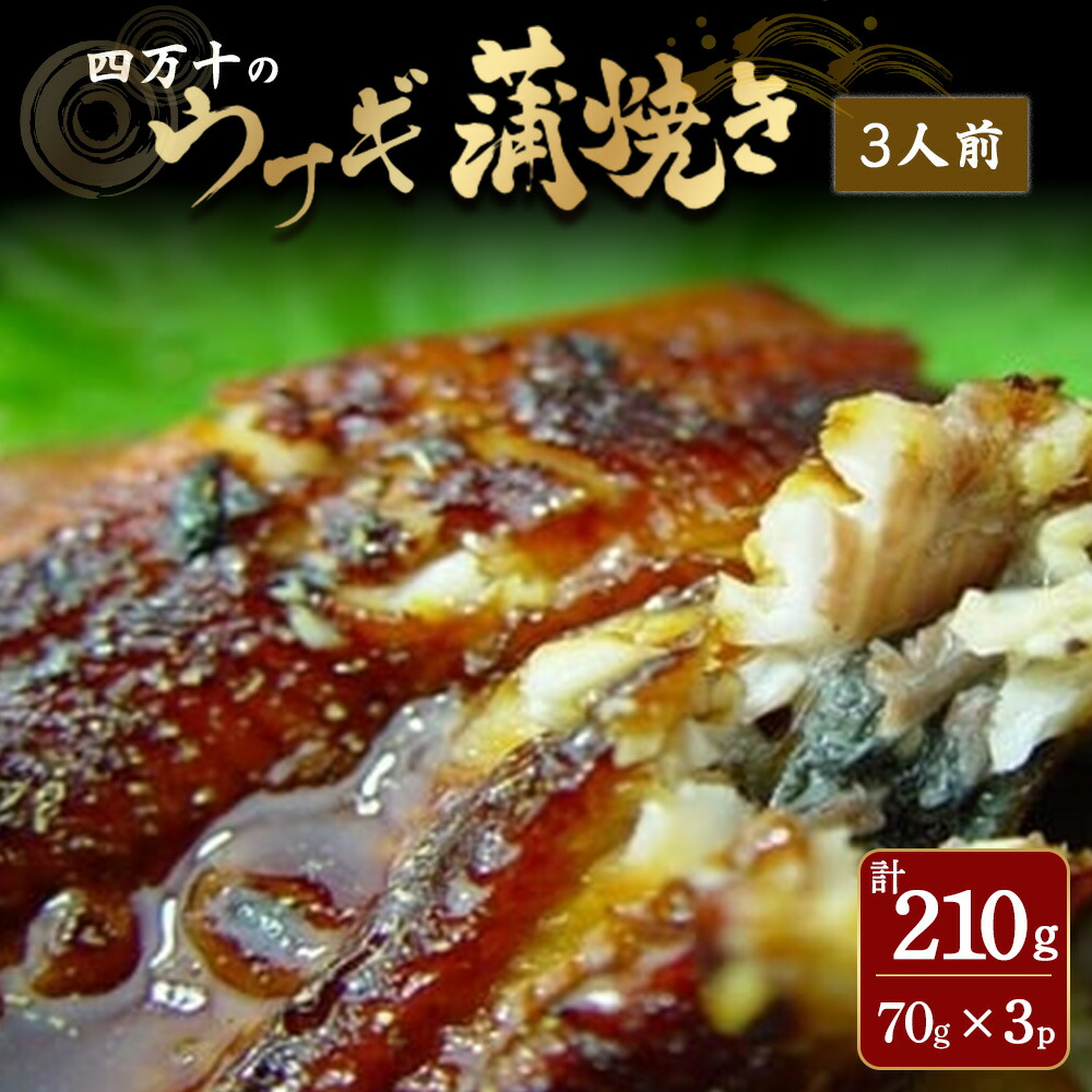 【ふるさと納税】 四万十のうなぎ蒲焼 3人前 /Ess-A07 冷凍 特大 たれ付き 蒲焼 白焼 国産 鰻 ウナギ うなぎ 蒲焼き 肉厚 土用の丑の日 本格うなぎ 山椒付き おすすめ 四万十鰻|高知県四万十町