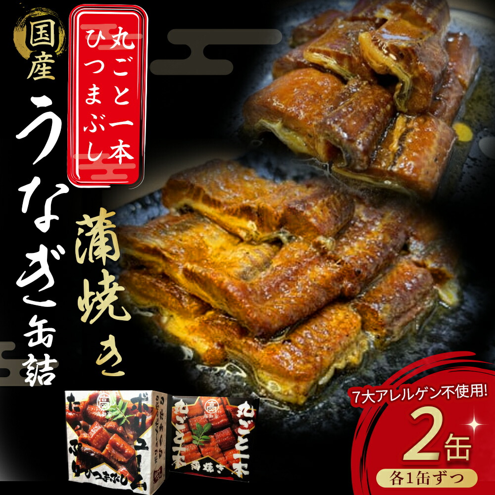 楽天市場】浜名湖食品 うなぎ蒲焼缶詰 100g(固形量90g)×5個セット 国産