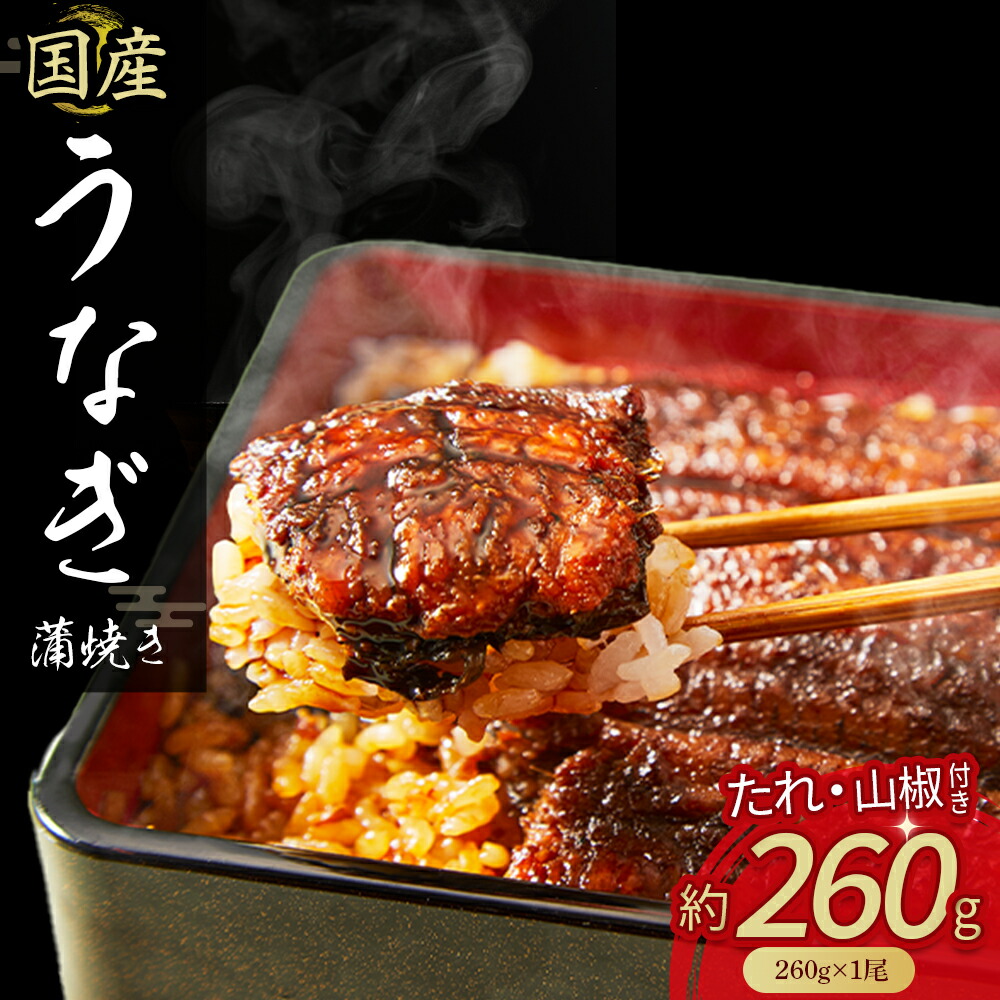 【ふるさと納税】 うなぎ蒲焼き (260gx1尾) Esu-40 冷凍 たれ付き 蒲焼 国産 鰻 ウナギ うなぎ 蒲焼き 肉厚 土用の丑の日 本格うなぎ 山椒付き 四万十鰻 おすすめ
