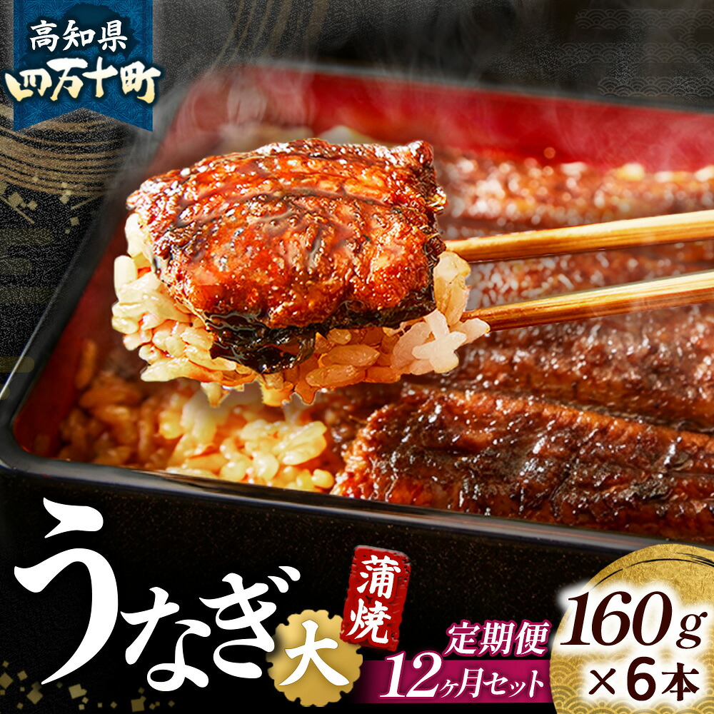 【ふるさと納税】 〈鰻大好き定期便〉 四万十うなぎ 蒲焼き ≪大≫（160g x 6本）12カ月セット 国産 ／Resu-07 冷凍 蒲焼 有頭 鰻 ウナギ 蒲焼き タレ付き 山椒付き 肉厚 土用の丑の日 本格うなぎ｜高知県四万十町