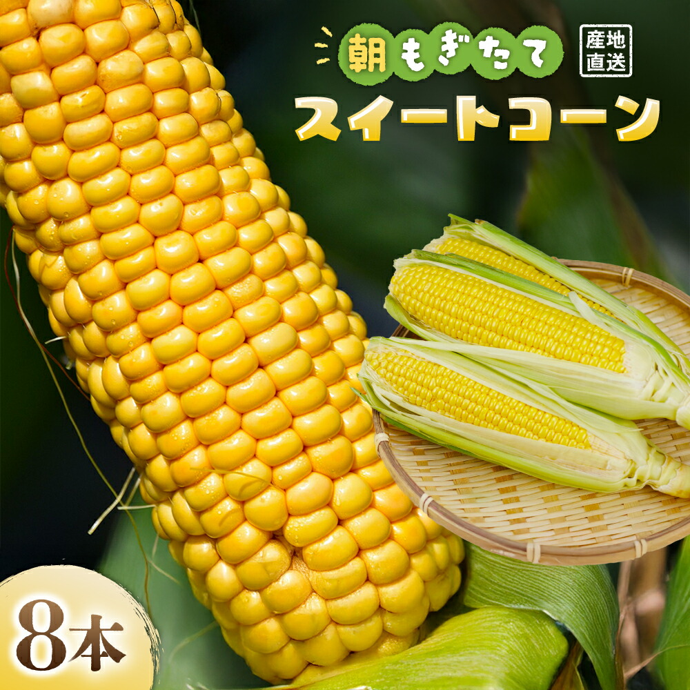 【ふるさと納税】【2026年5月中旬ごろから配送！】朝もぎたてのスイートコーン 8本 ／Osy-A12 とうもろこしトウモロコシ スイートコーン 朝どれ 新鮮 鮮度抜群 甘い 産地直送