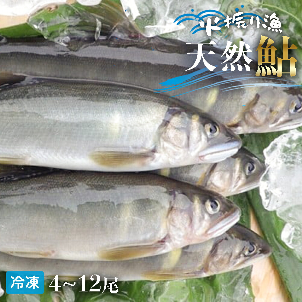 【ふるさと納税】 四万十川上流の天然鮎 冷凍 火振り漁鮎 800g（4?12尾）【着日指定不可】Esj-11k あゆ アユ 魚 魚介 川魚 塩焼き 冷凍 天然 レシピ付 個包装 小分け