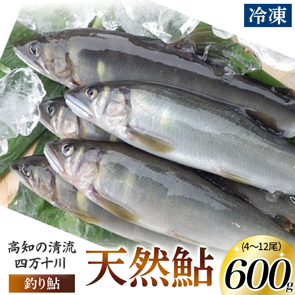 【ふるさと納税】四万十川上流の天然鮎　釣り鮎【冷凍 4～12尾】Esj-40k あゆ アユ 魚 魚介 川魚 塩焼き 鮎 天然 個包装 600g 小分け