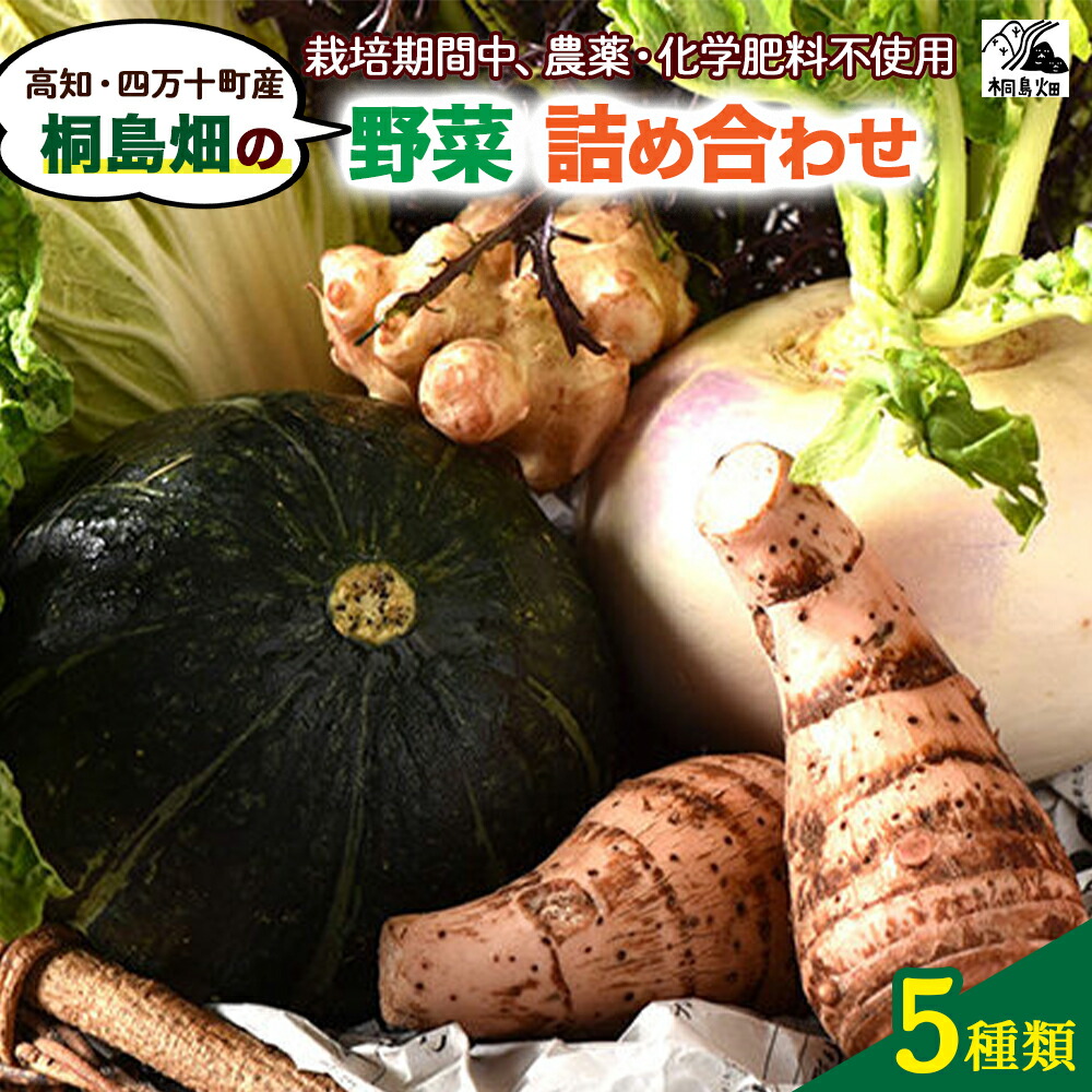 【ふるさと納税】 桐島畑の野菜つめあわせ（5種類）【栽培期間中、農薬・化学肥料不使用】 Fkh-A07 やさい 野菜 国産野菜 野菜セット 野菜詰め合わせ 季節 新鮮フレッシュ 旬 無農薬 産地直送