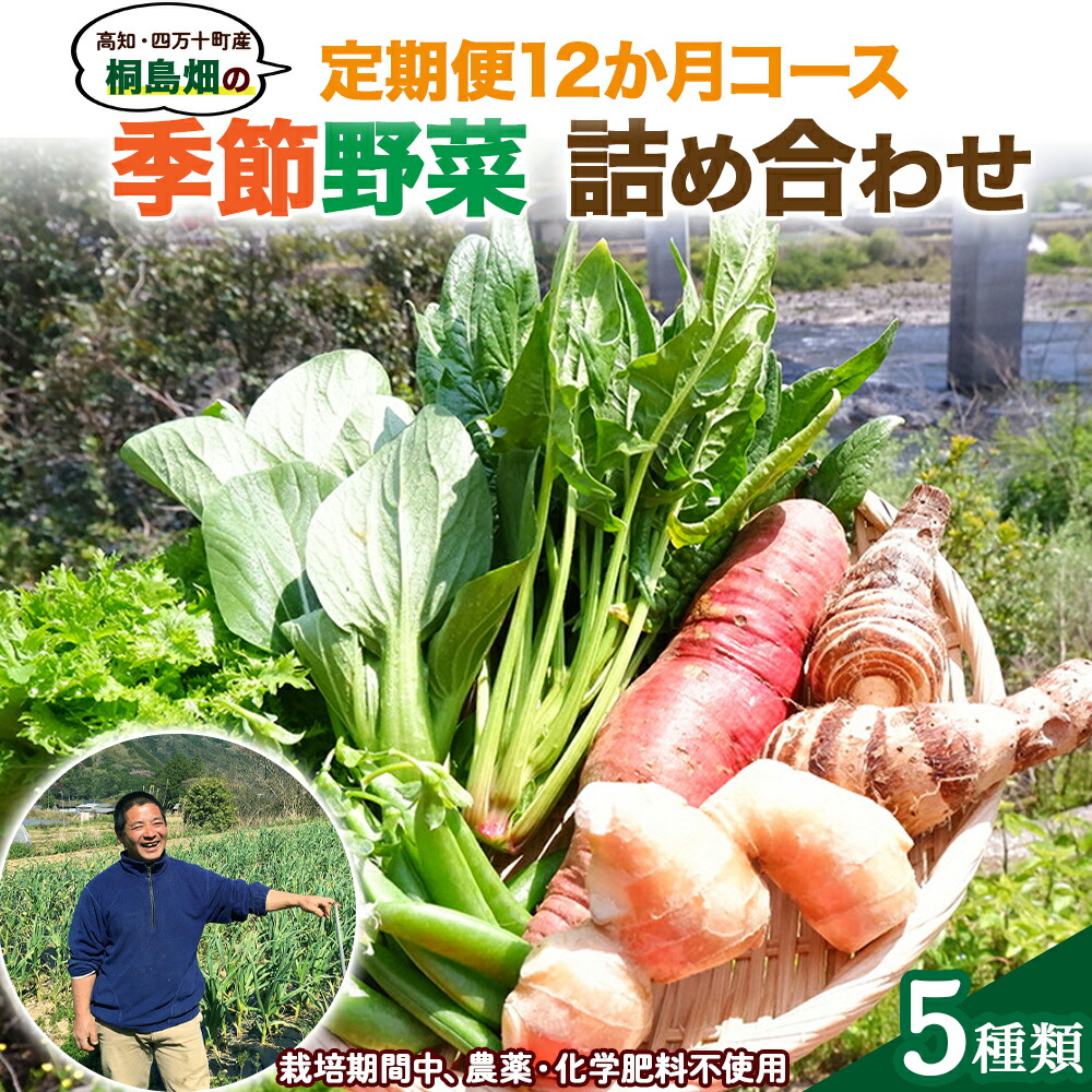 【ふるさと納税】 【栽培期間中、農薬・化学肥料不使用】桐島畑の季節野菜詰め合わせ(5種類)(定期便12か月コース)　Rfkh-A02 ／ やさい 国産野菜 四万十 高知 季節 フレッシュ 旬 無農薬 有機農業 野菜セット 新鮮 フレッシュ こだわり栽培 安心安全